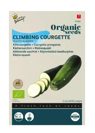 Seeds courgette ola escaladora 6 zaden Buzzy
