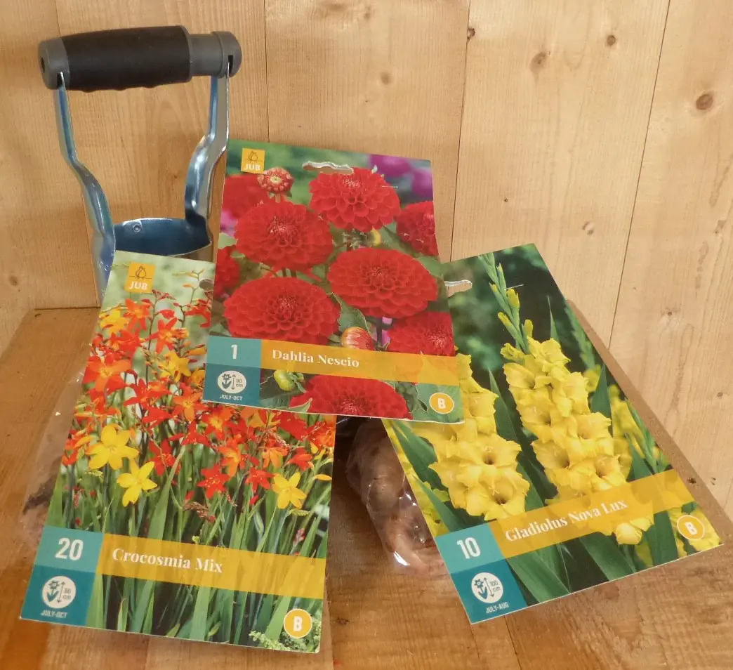 Cadeaupakket zomerbloembollen Dahlia rood, Gladiolen geel en Crocosmia oranje Warentuin Mix