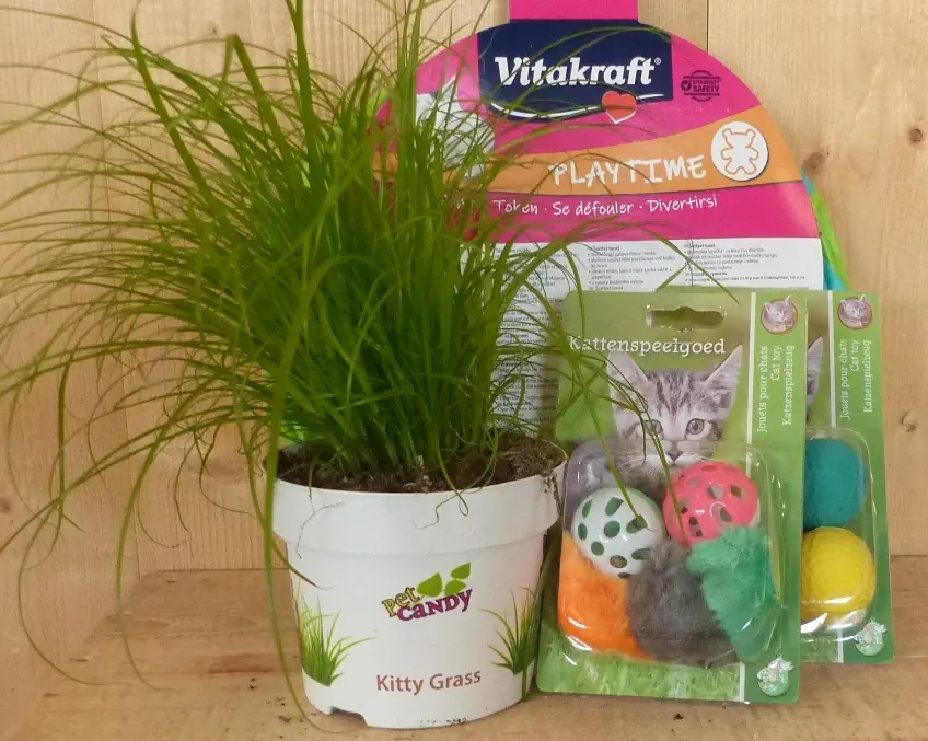 Cadeaupakket kattenspeeltjes met kattengras voor je kat Warentuin Mix